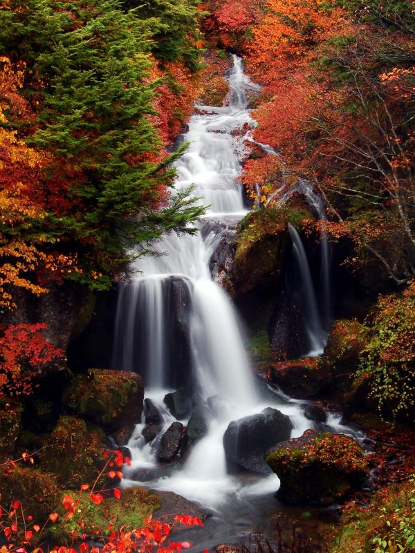 beautiful waterfall