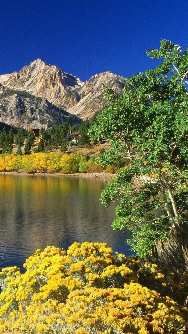 june lake california