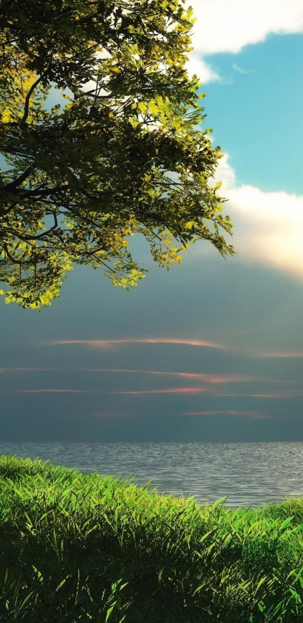 спокойная природа