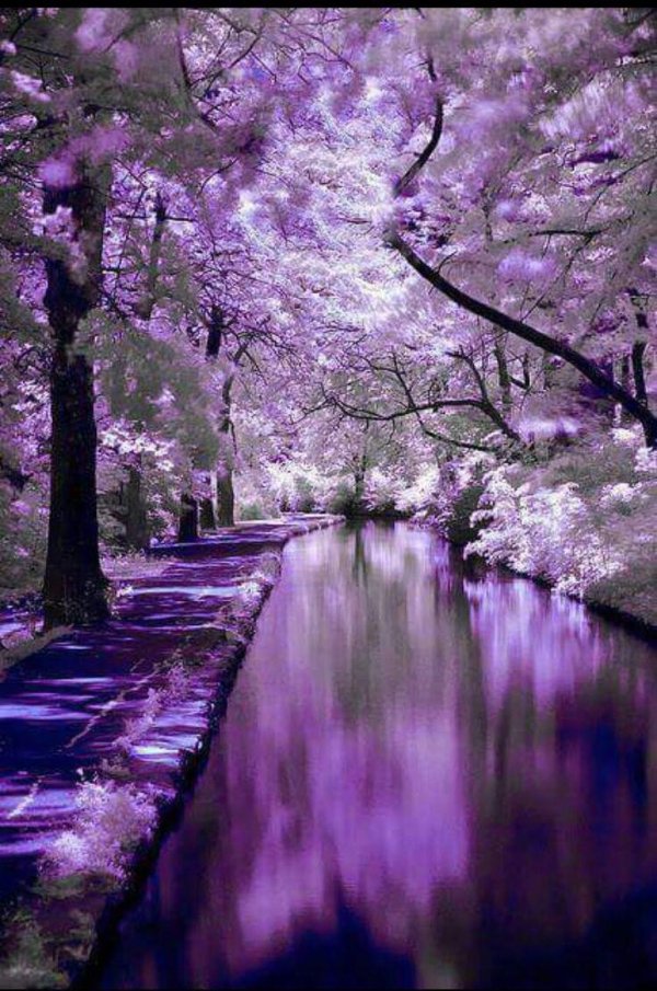 весенние пейзажи