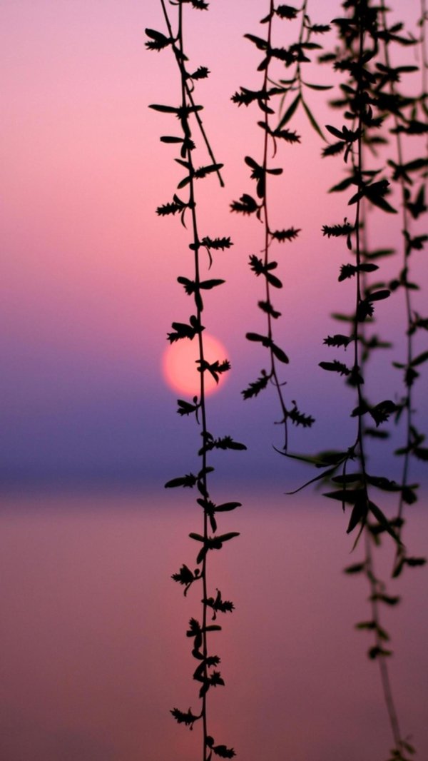 закат закат