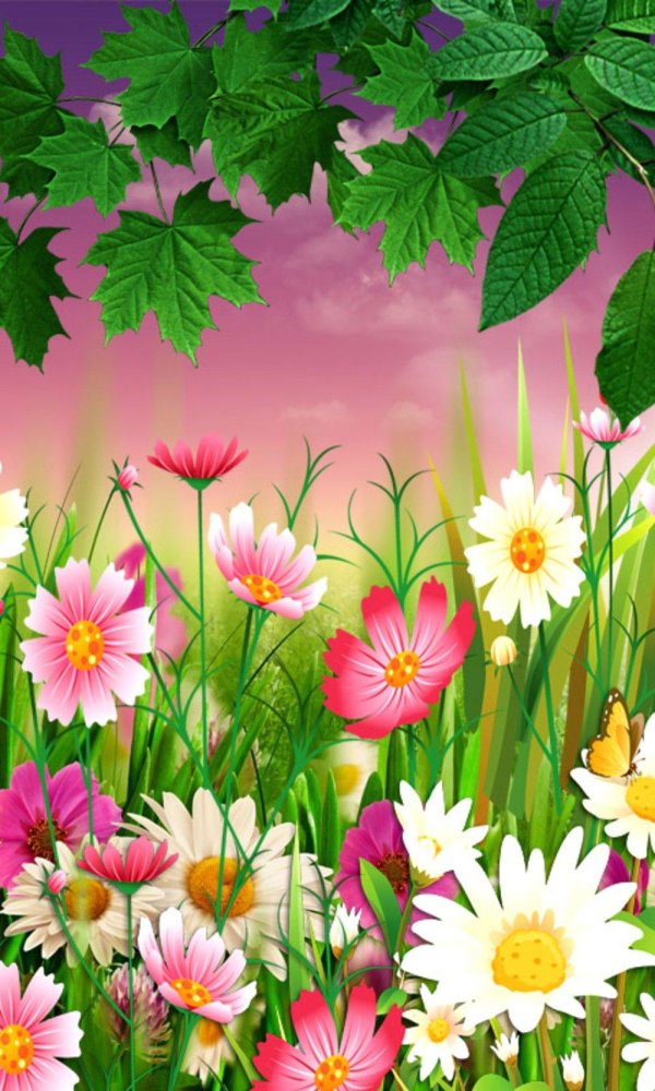 летние цветочки