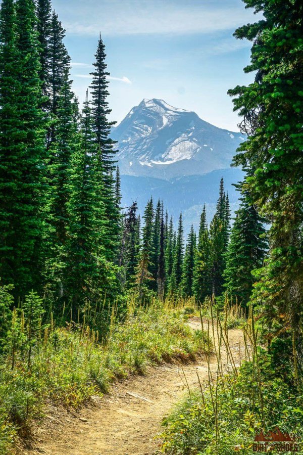 гора рейнир штат вашингтон