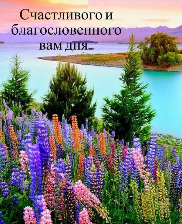 пейзажи с цветами