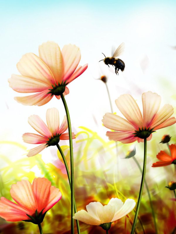 лето вертикально