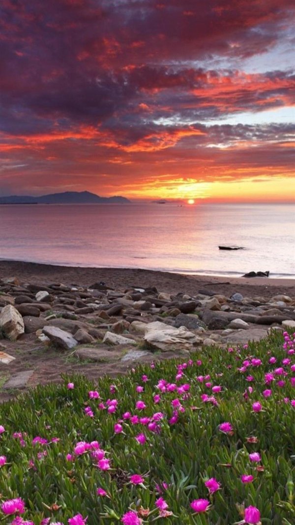 море весной