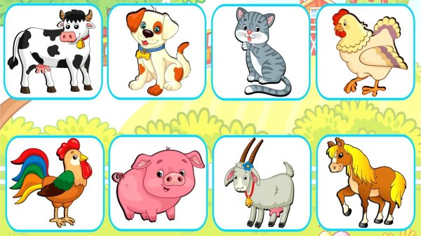 карточки с животными для детей