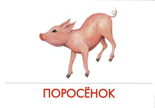карточки для детей поросенок