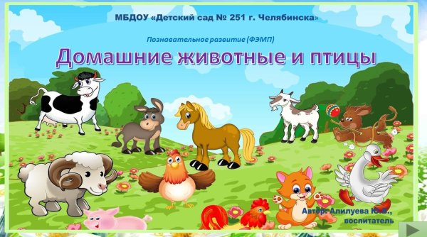 домашние животные и птицы