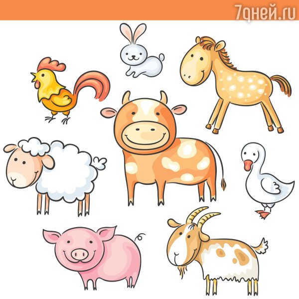 животные ферма