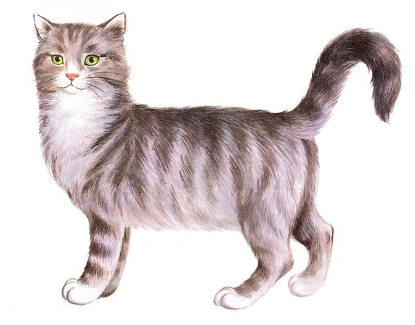 дошниеживотные для детей