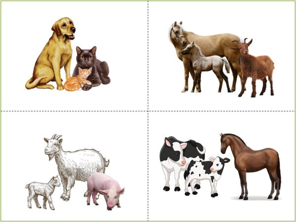 дидактическая игра домашние животные и их детеныши