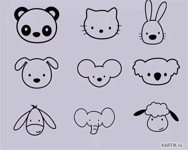 мордочки животных схематично