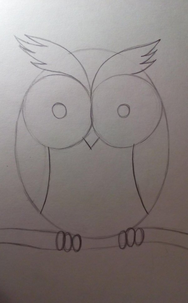 поэтапное рисование совы карандашом