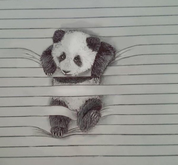 рисунок панда