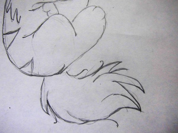 любые рисунки