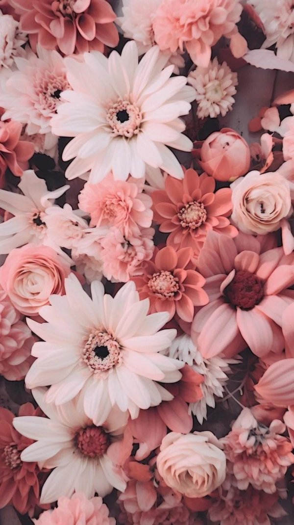 красивая цветок