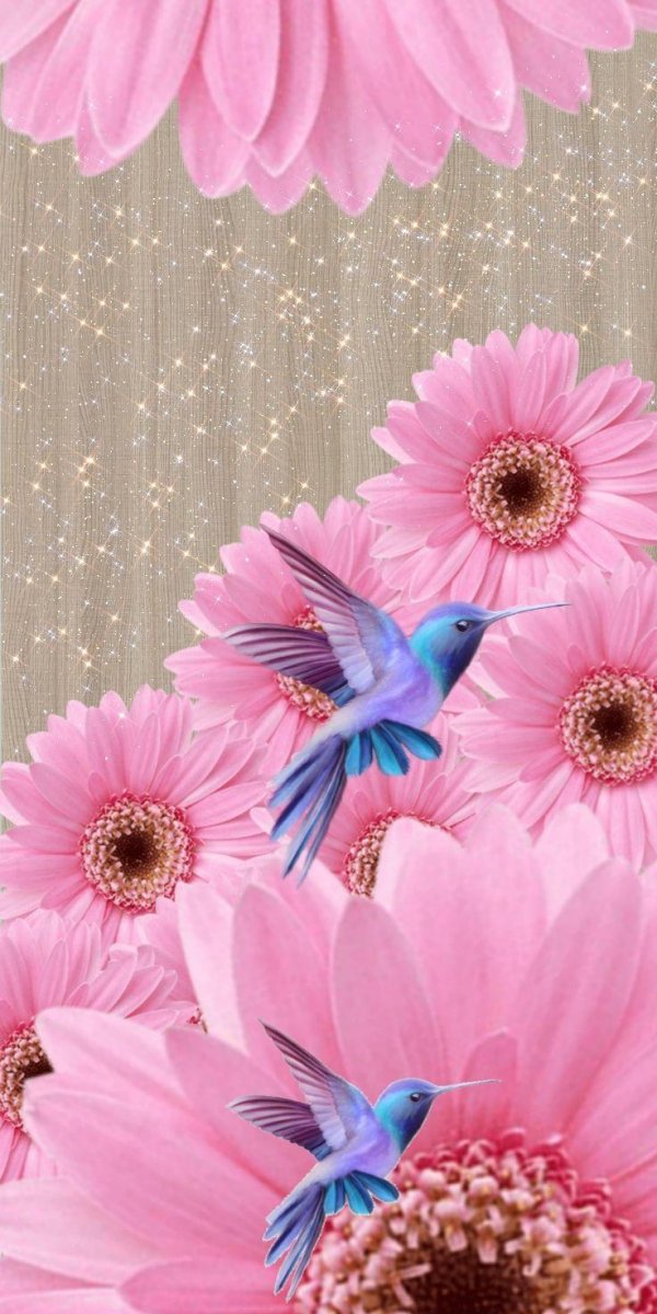 beautiful hummingbird