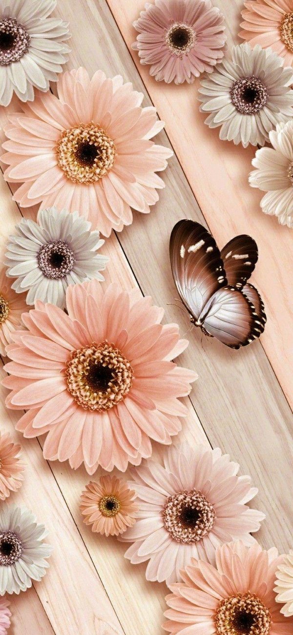 цветок красивый