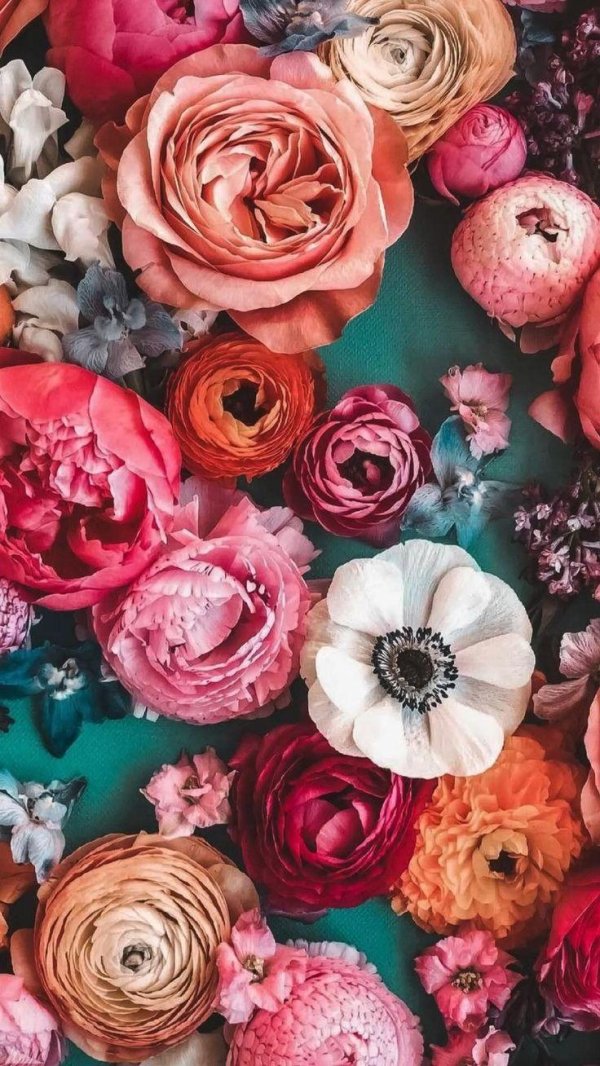 цветочные картины