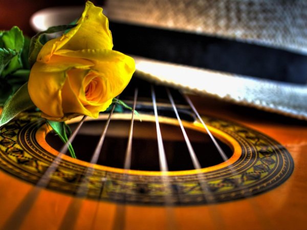 гитара и роза