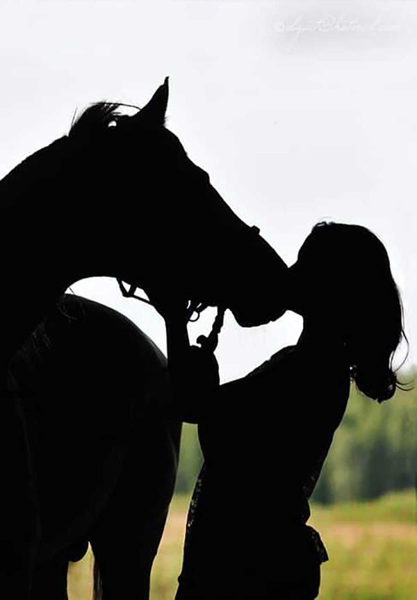 девушка с конем