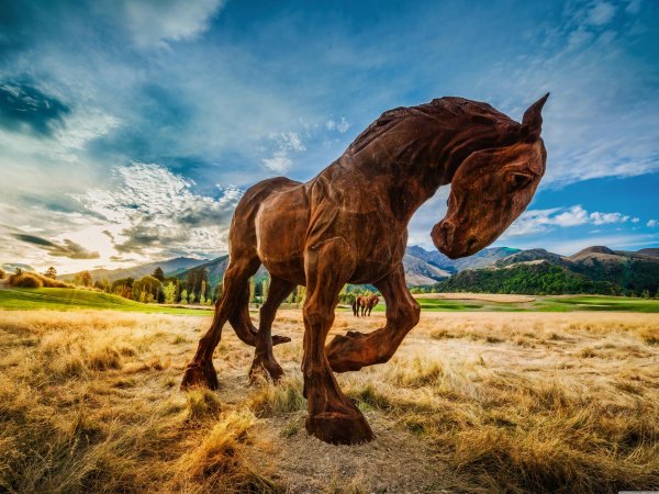 кони лошади