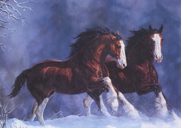 кони картина