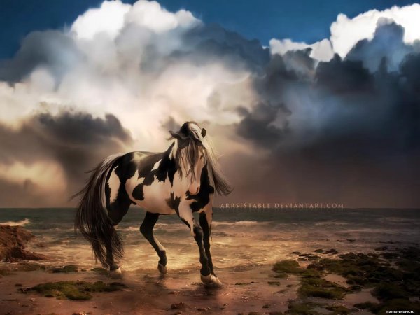 картины лошадей