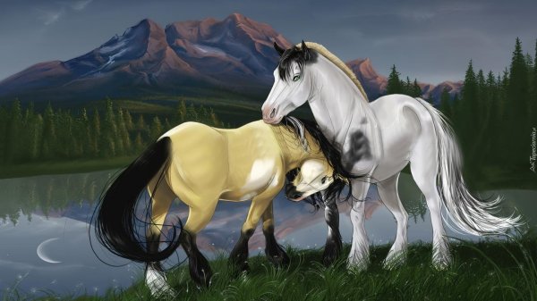 спирит душа прерий 2