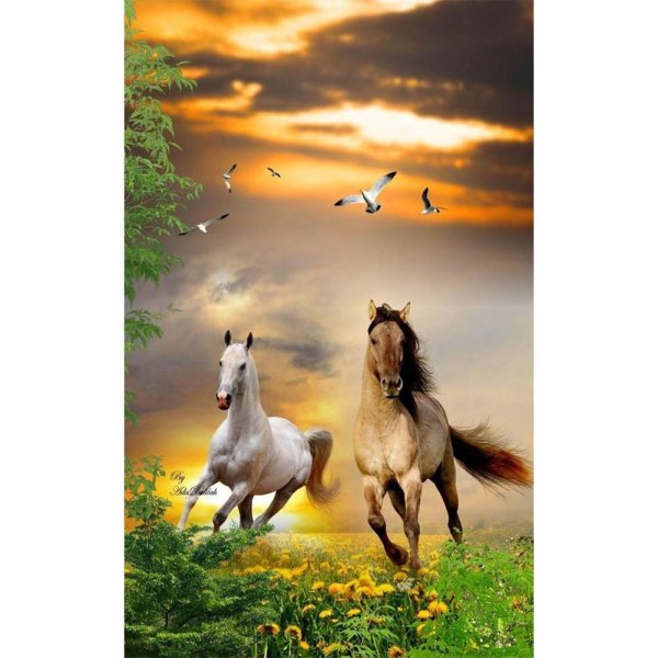 фон с лошадьми