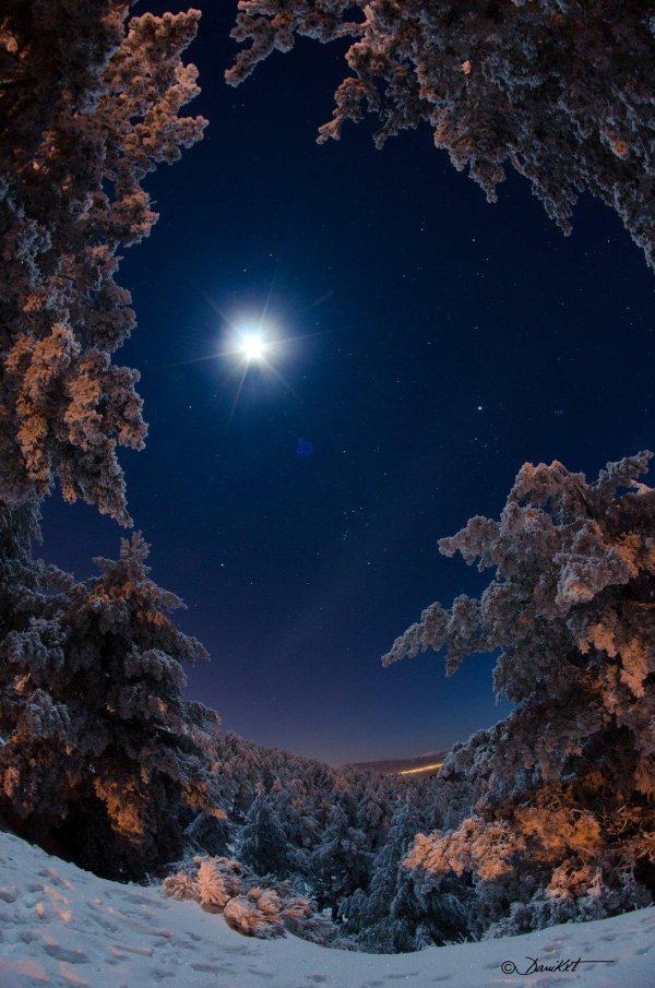 зимнее ночное небо