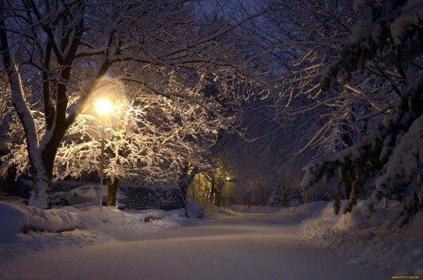 зимние ночные пейзажи