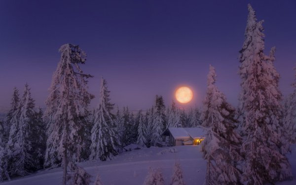 луна над лесом зимой