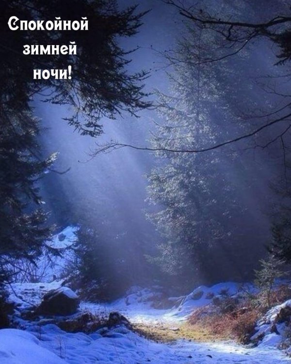 спокойной зимней ночи