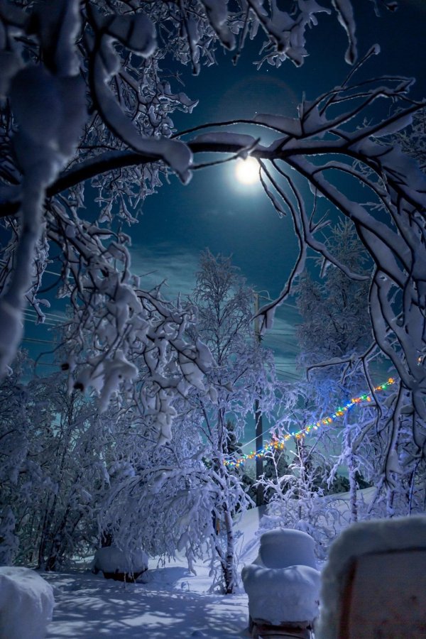 зимней ночи