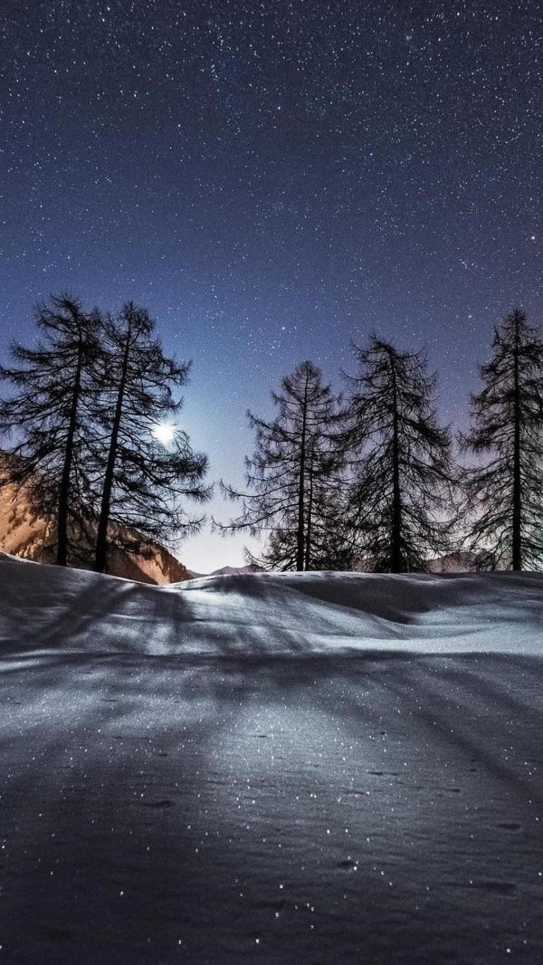 зимние ночные пейзажи