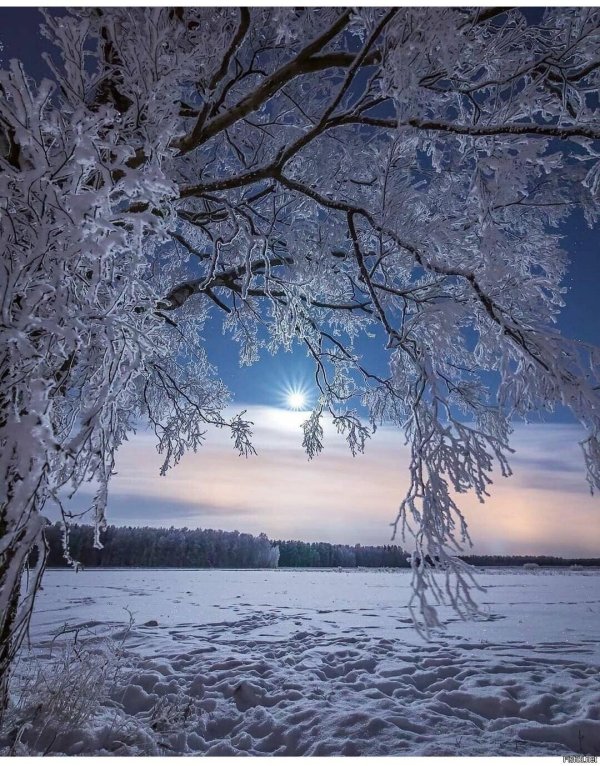 зимние пейзаж