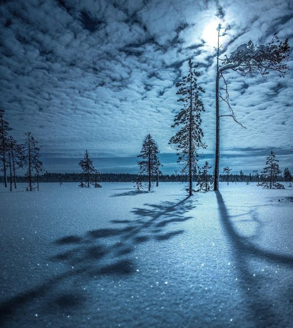 зимние пейзаж