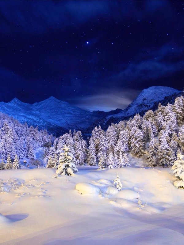 зимние новогодние пейзажи