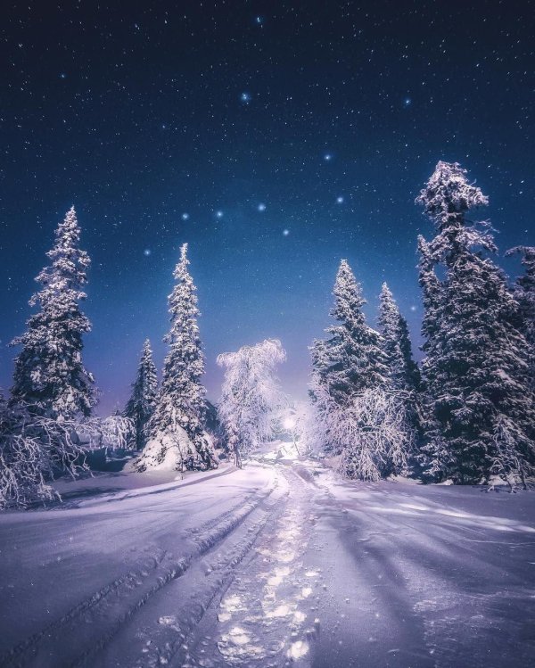 зимние ночные пейзажи