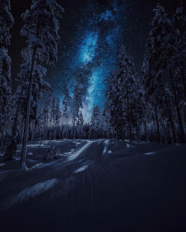 зимние ночные пейзажи