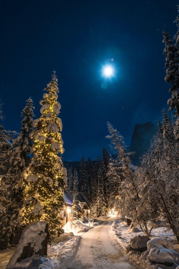 зимние ночные пейзажи