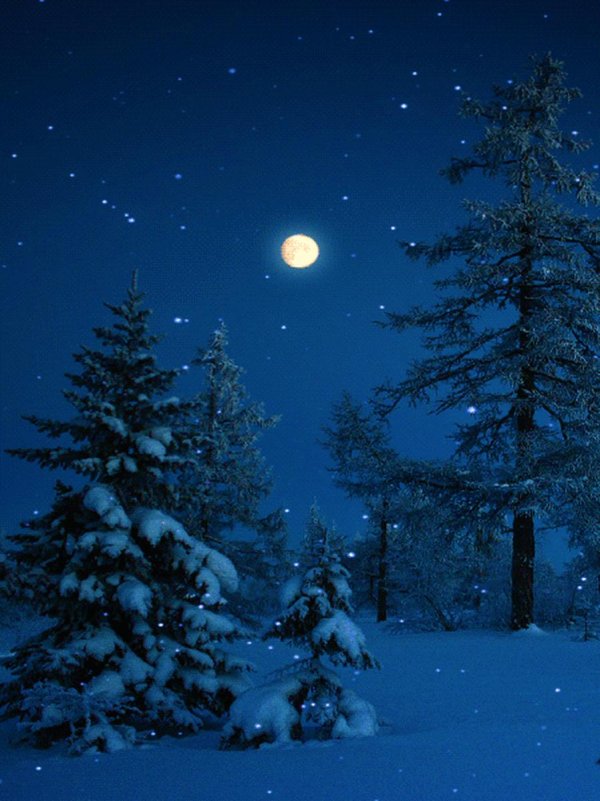 зимние ночные пейзажи