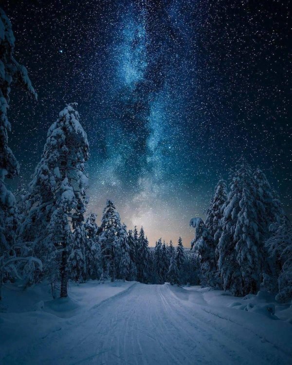 зимнее ночное небо
