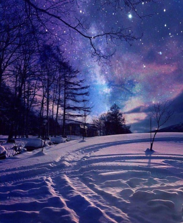 ночное небо