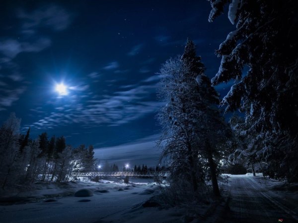 зимние ночные пейзажи