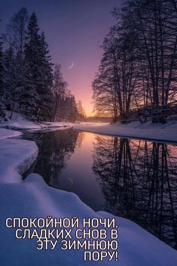 спокойной зимней ночи