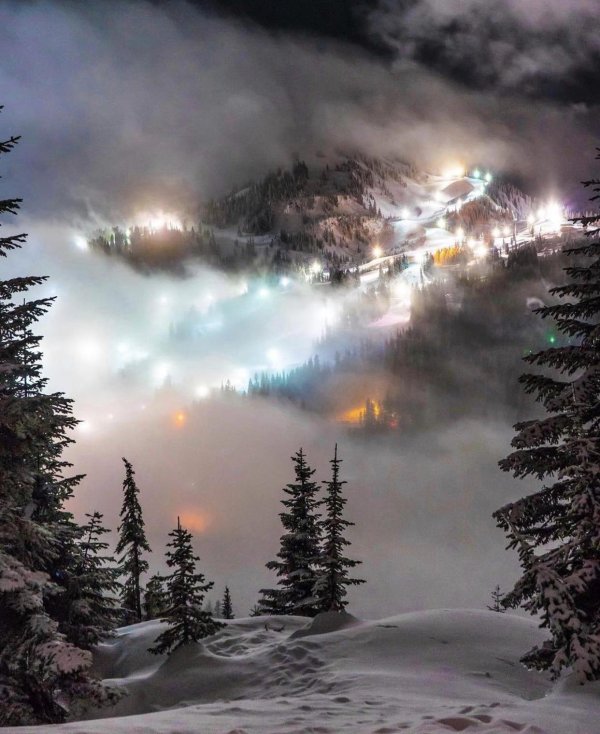 такой пейзаж