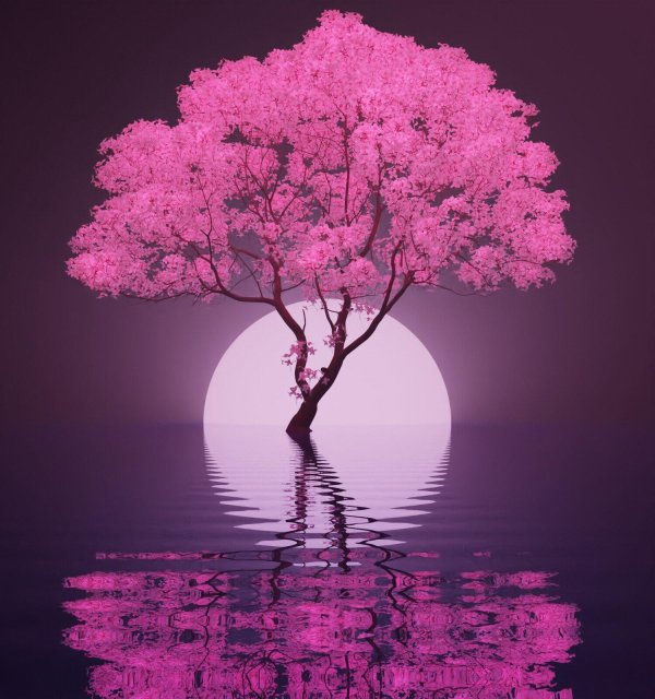 пейзажи красивые